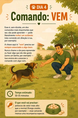 Página interna — Dia 4: Comando Vem