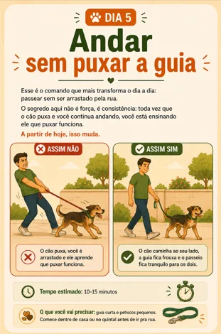 Página interna — Dia 5: Andar sem puxar a guia