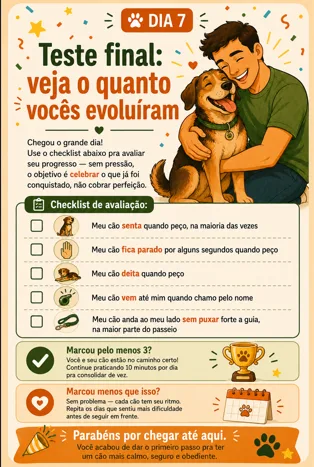 Página interna — Dia 7: Teste final e checklist